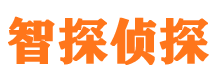 红安私家调查公司